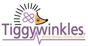 Envirofone Teams Up with Tiggywinkles Wildlife Hospital: Trade-in Your Old Phone for Wildlife!