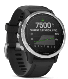 Sell my Fenix 6S 42mm