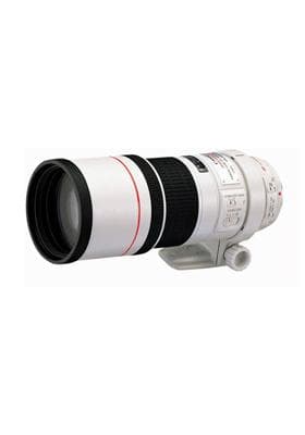 Sell my EF 300mm f/4 L IS USM