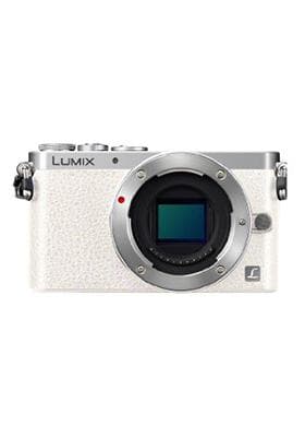 Sell my Lumix DMC-GM1 Body Only