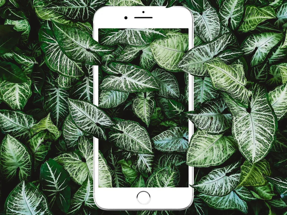 Environmental Benefits of Trading Tech